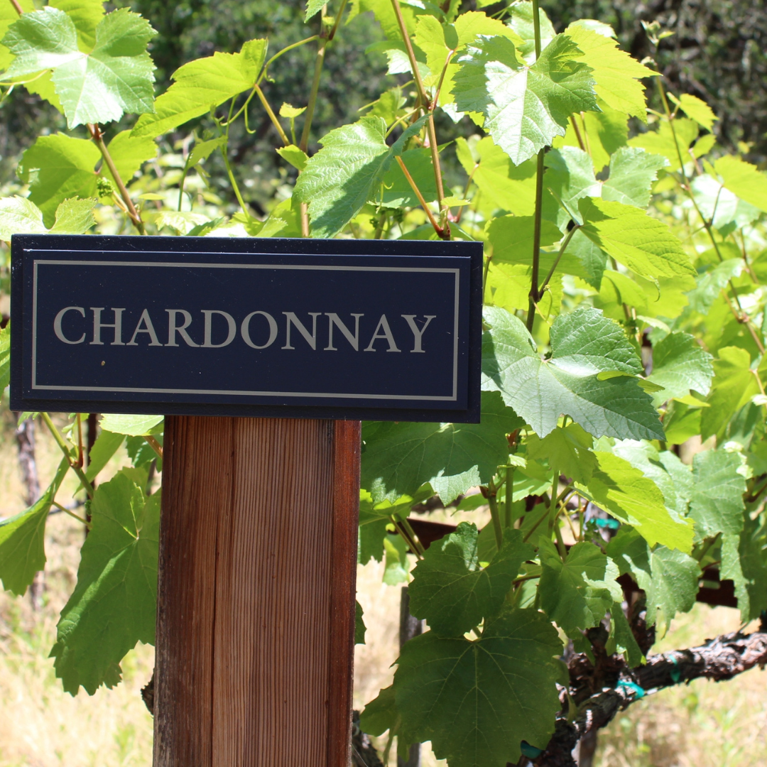 chardonnay