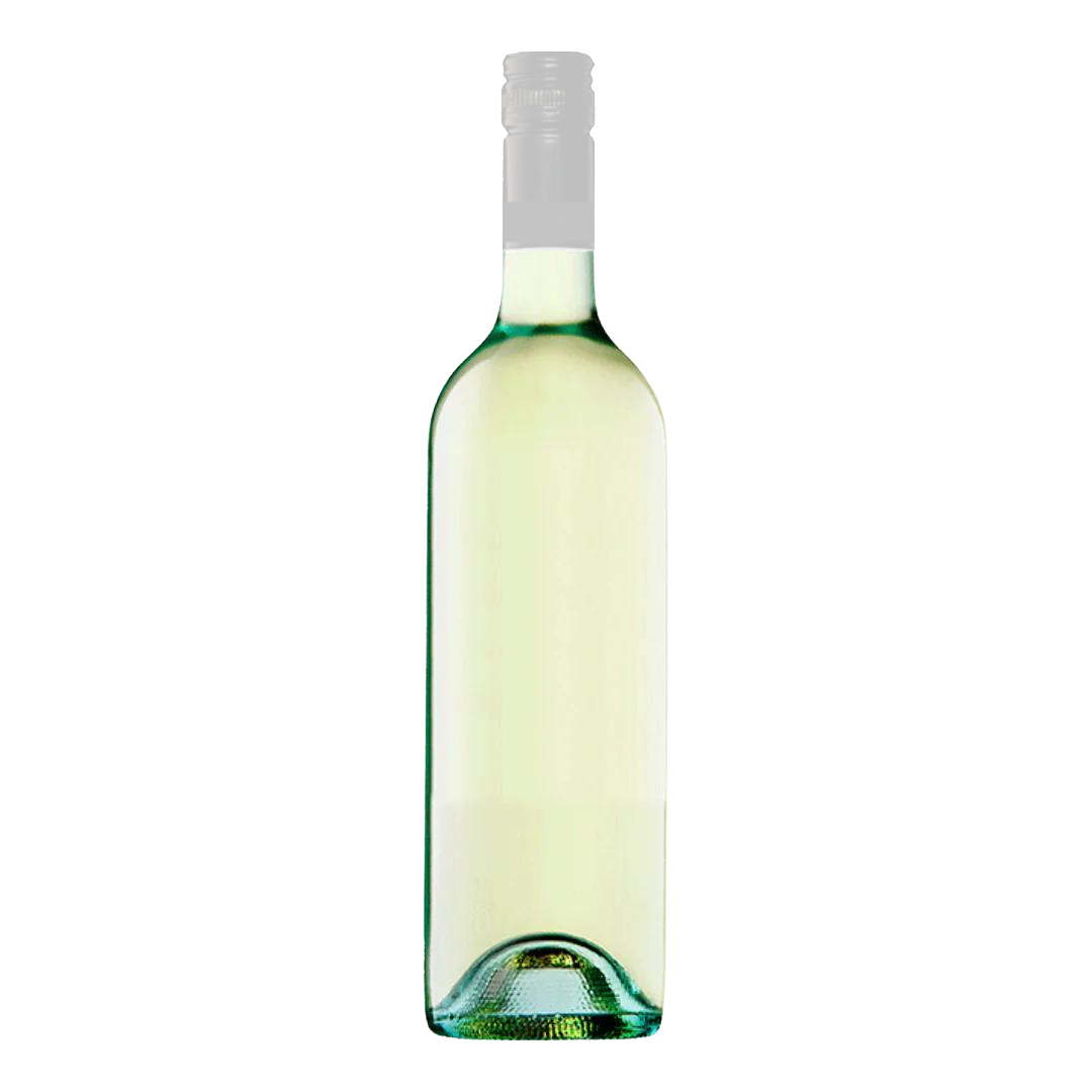 Pinot Grigio Adelaide Hills 2022