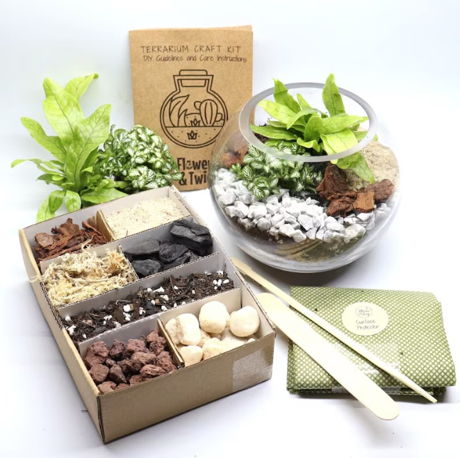 Terrarium Kit