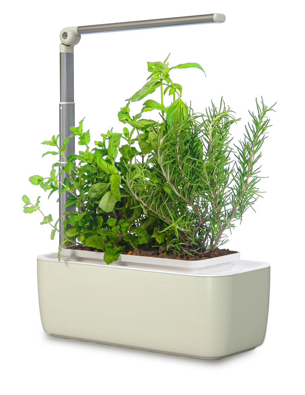 Smart Garden System