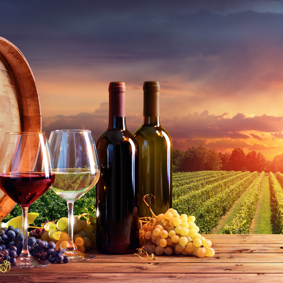 Regional Selections: Showcasing Australian Wine Excellence