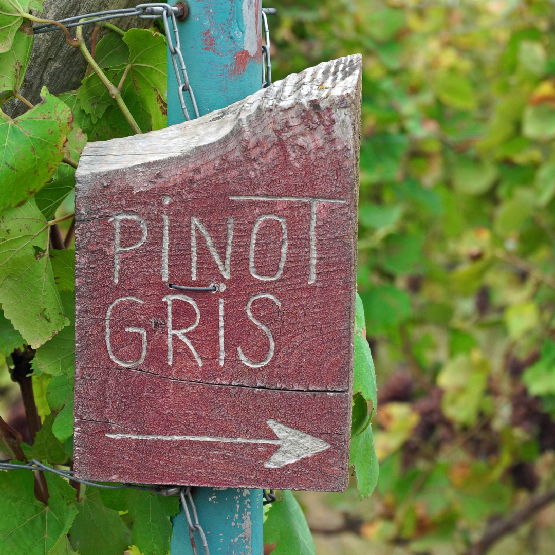 Selecting the Perfect Pinot Grigio Gift