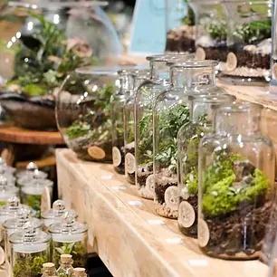 Mini Terrariums Christmas Gift