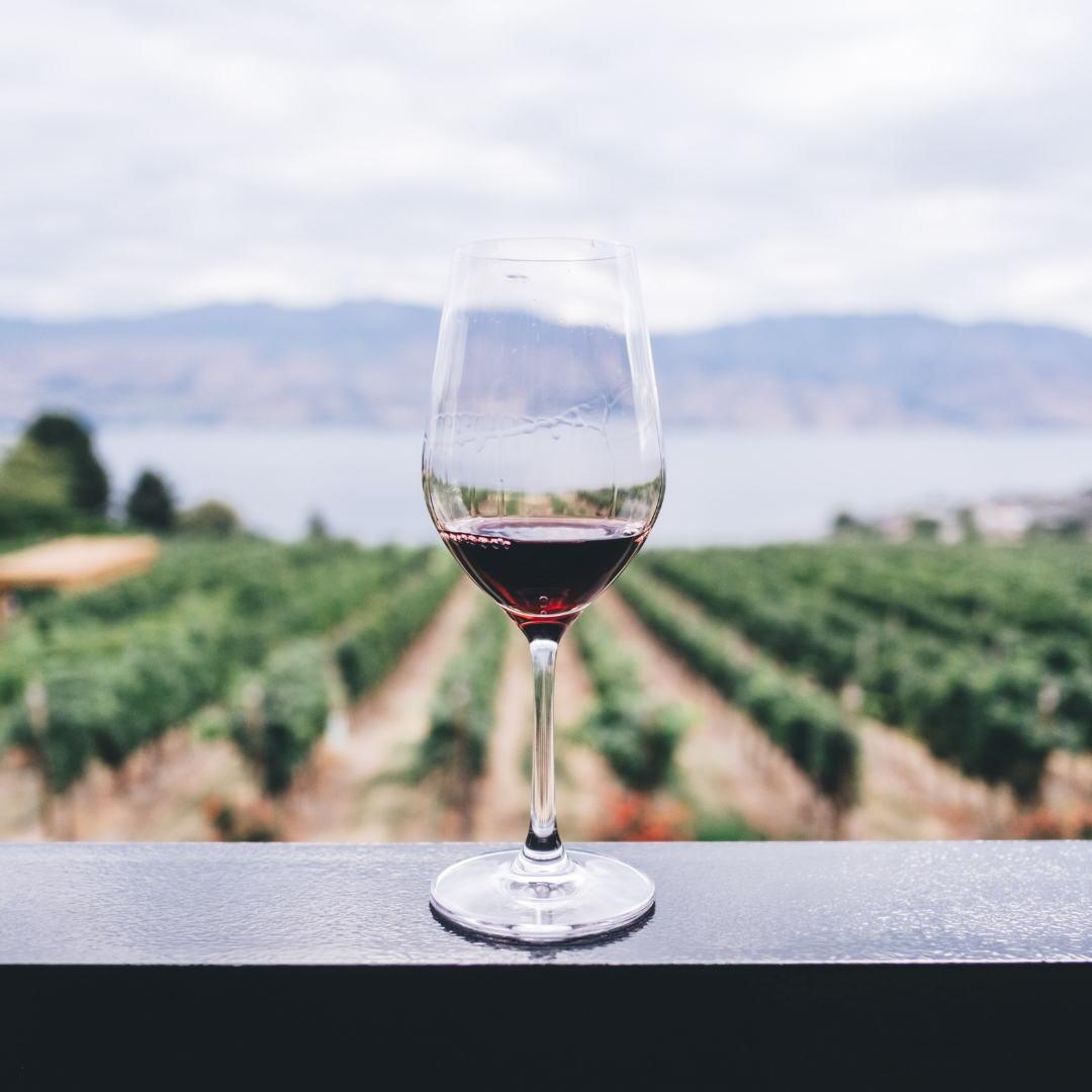 Wine Knowledge