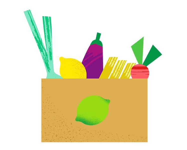 Meal Delivery Service Subscription
