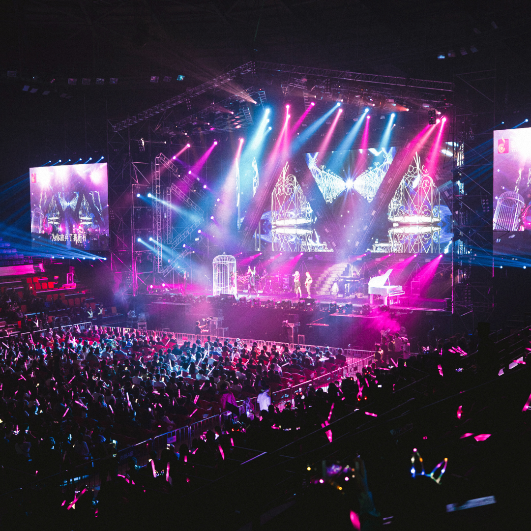 concert crowd