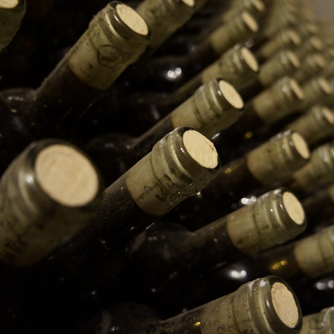 Collecting and Aging Pinot Grigio