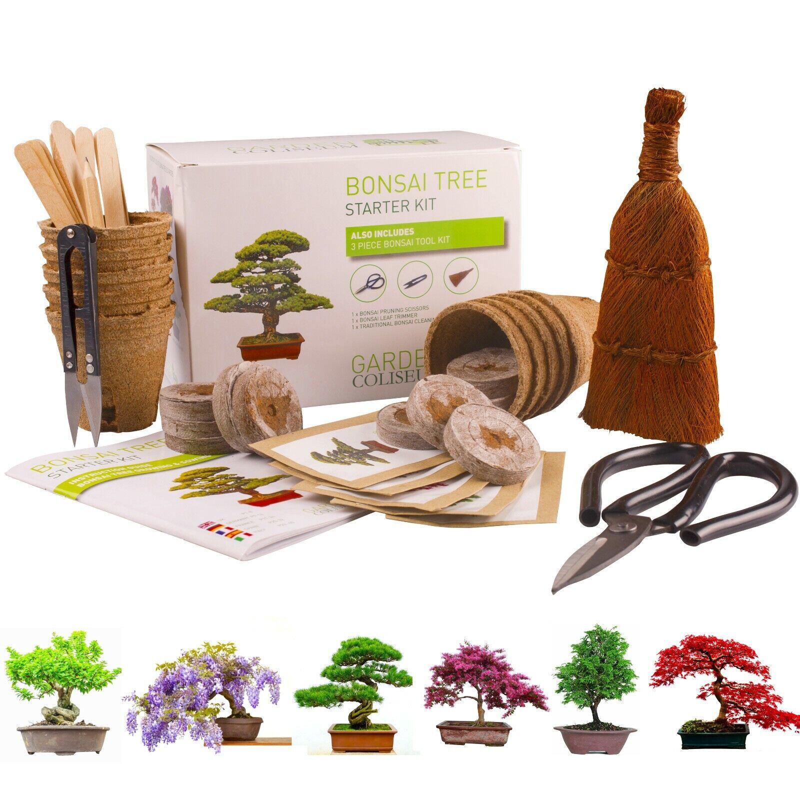 Bonsai Tree Starter Kit
