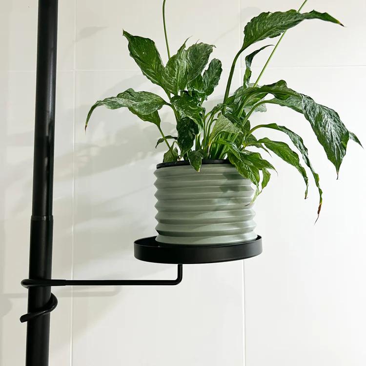 Indoor Plant Chritmas Gift