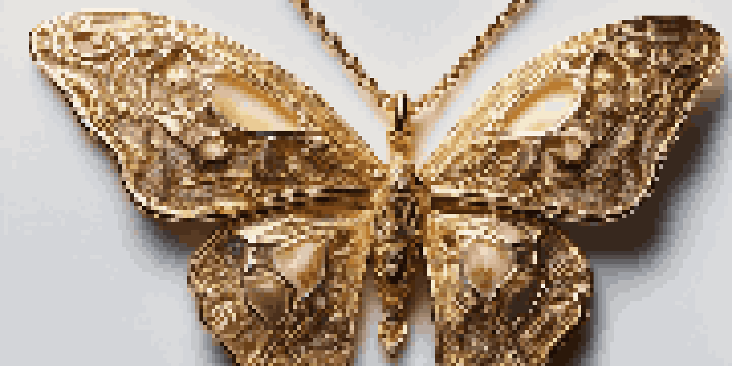 A detailed view of a gold butterfly pendant on a velvet surface, illuminated by soft lighting.