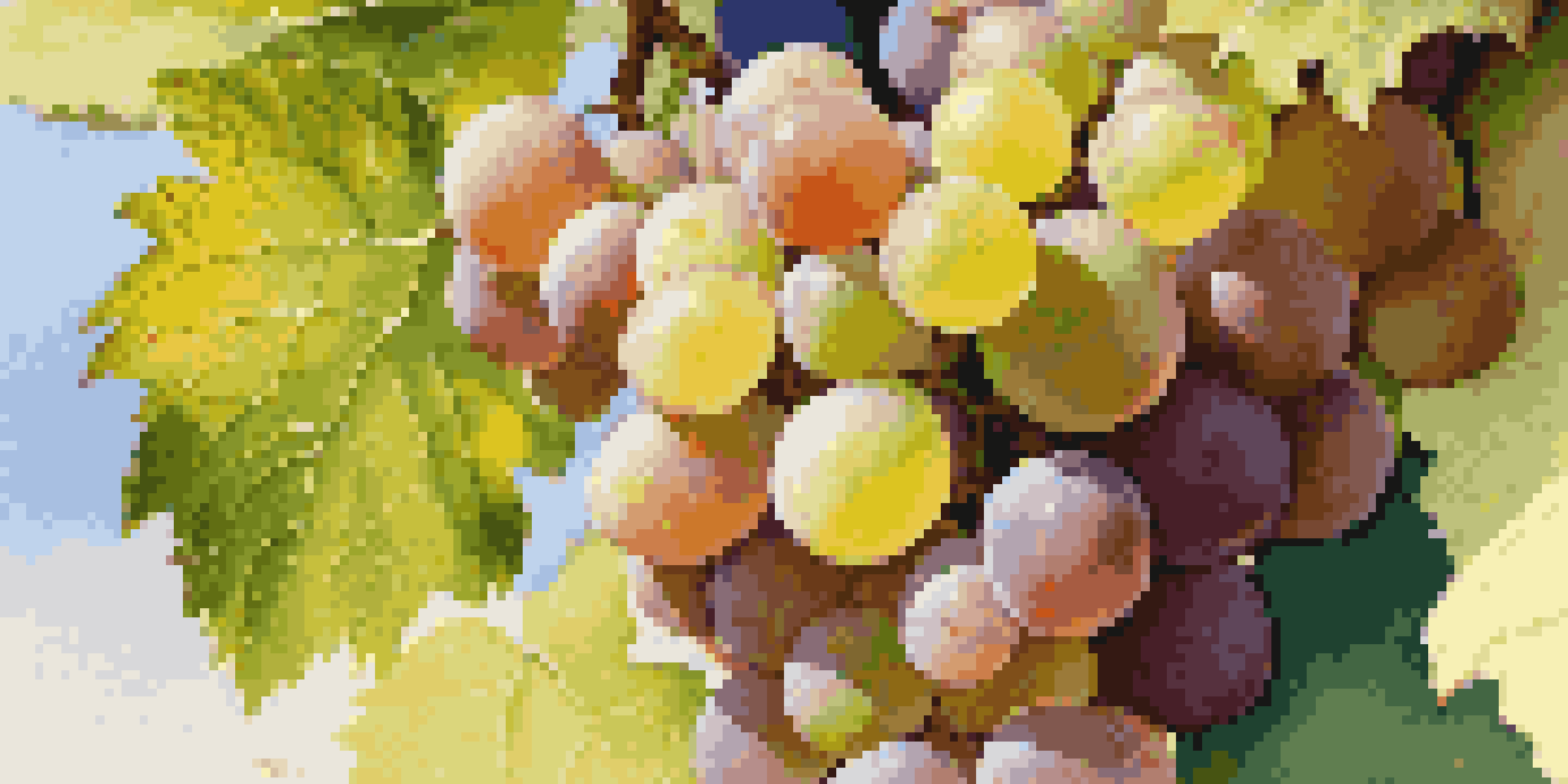 A close-up image of Gewürztraminer grapes with a vineyard in the background, illuminated by soft sunlight.