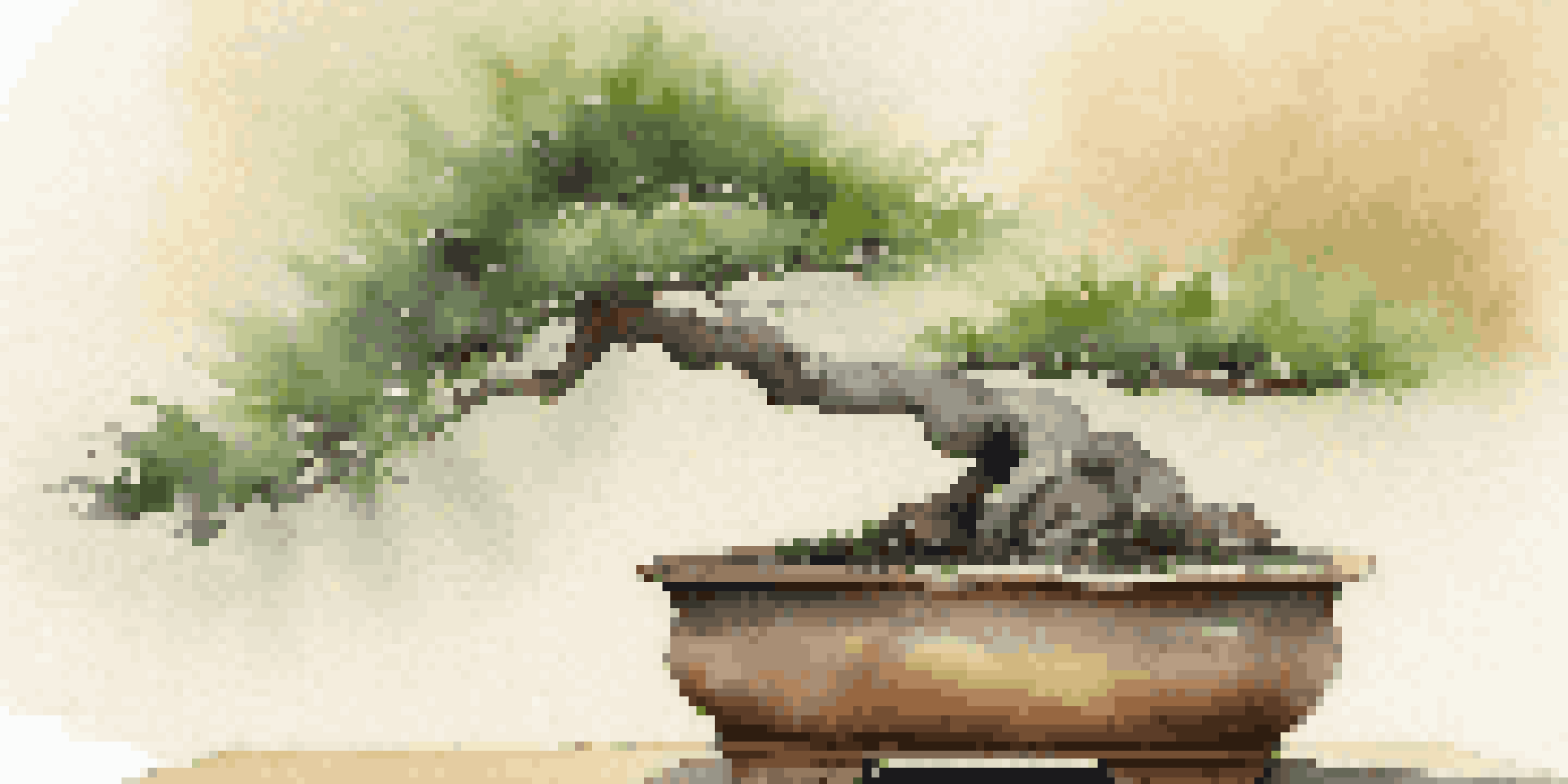 A tranquil bonsai tree in a rustic clay pot, surrounded by soft light and a blurred garden background.