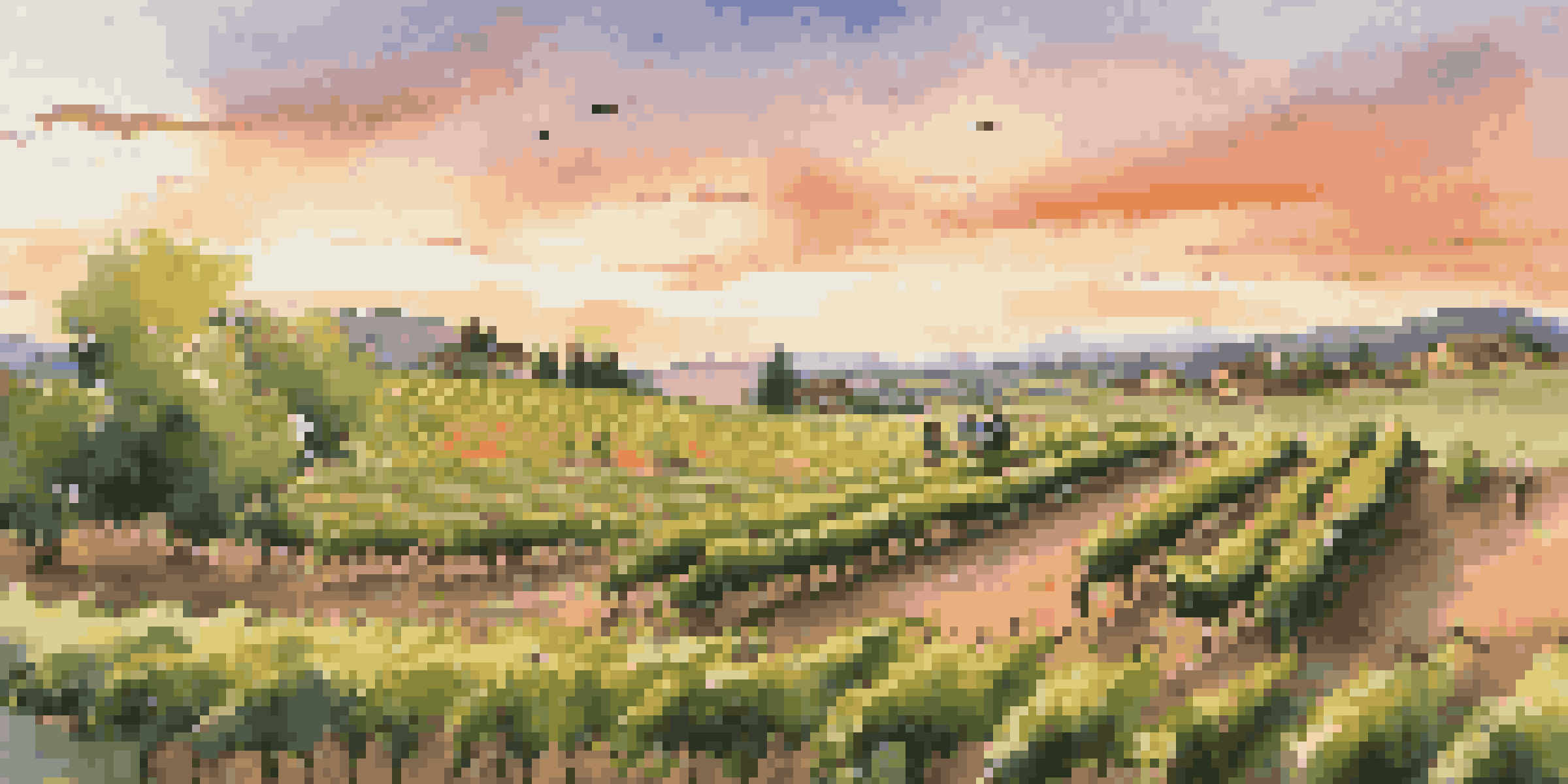 A biodynamic vineyard at sunset with grapevines, a farmer using compost, and sheep grazing, under a colorful sky.