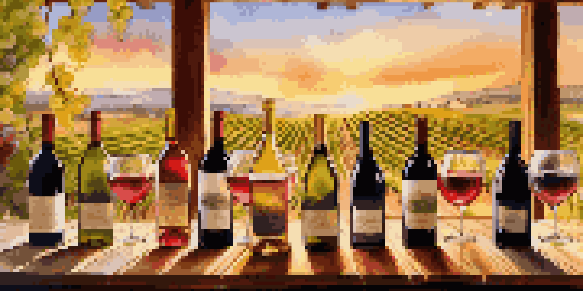 A rustic wooden table with various wine glasses filled with red and white wines, set against a vineyard during sunset.