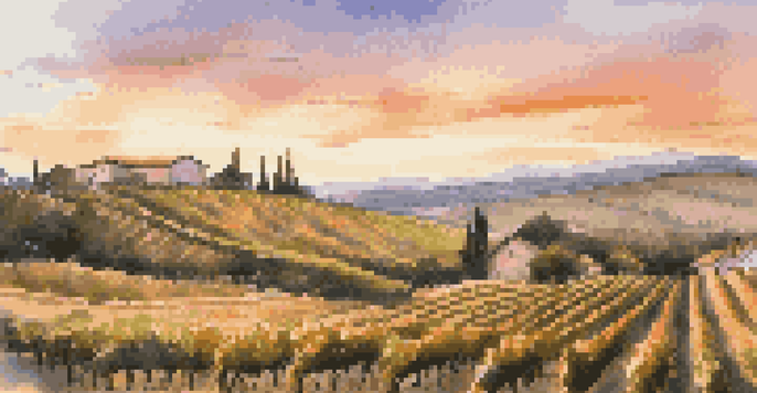 A peaceful vineyard at sunset with rows of grapevines and a colorful sky.