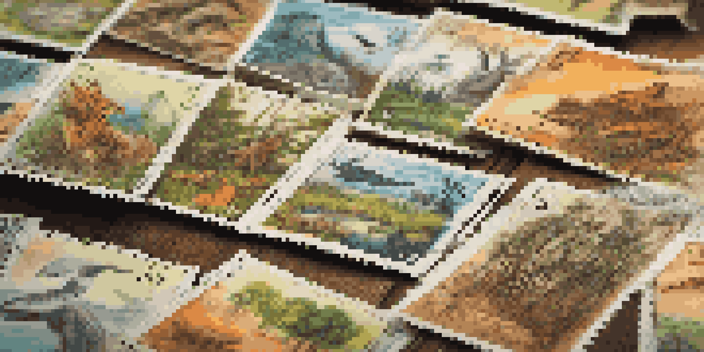 A close-up view of a colorful collection of stamps showcasing endangered species and landscapes on a wooden table, illuminated by soft natural light.