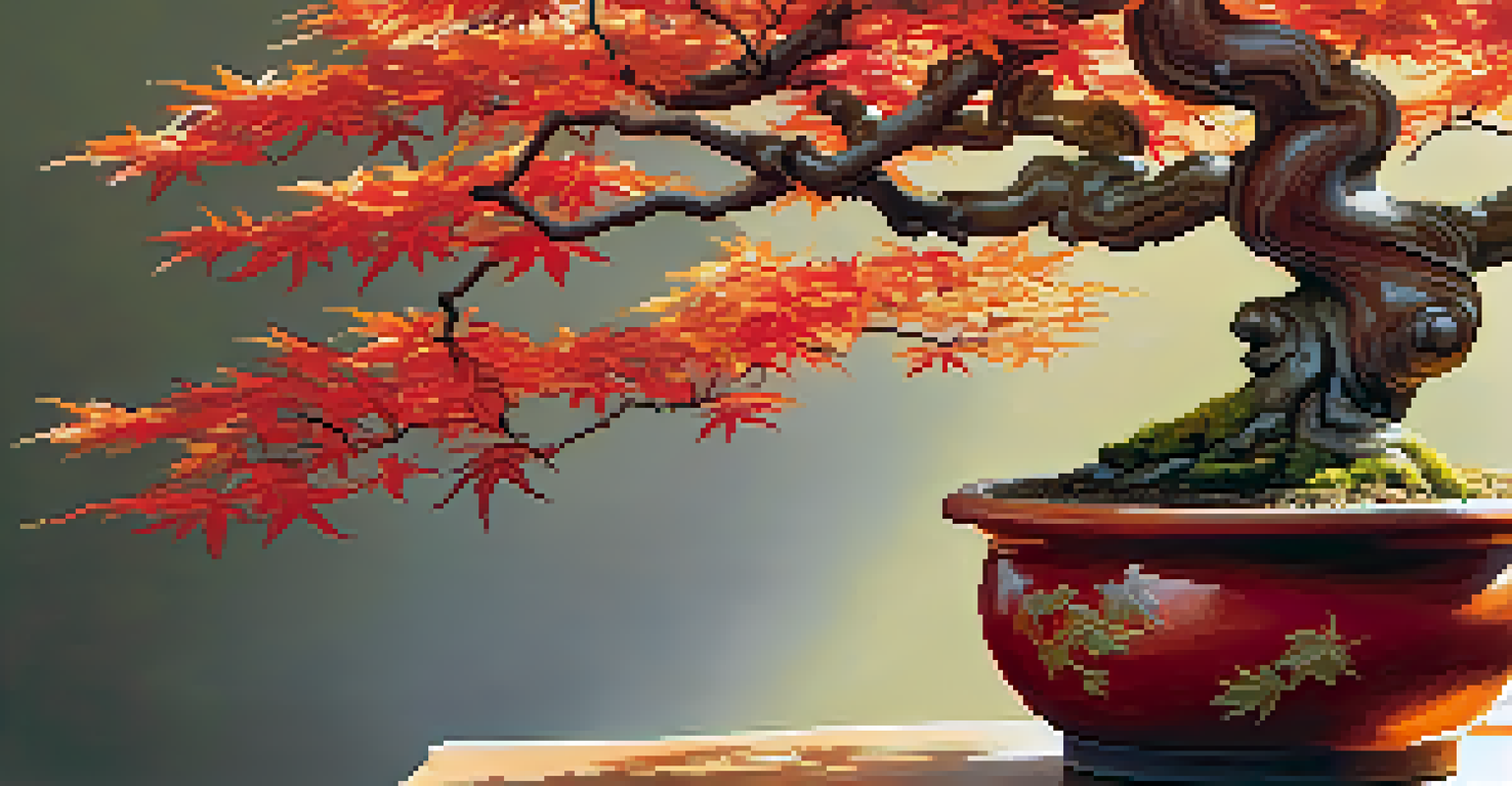 A close-up view of a Japanese Maple bonsai tree with colorful autumn leaves in a ceramic pot.