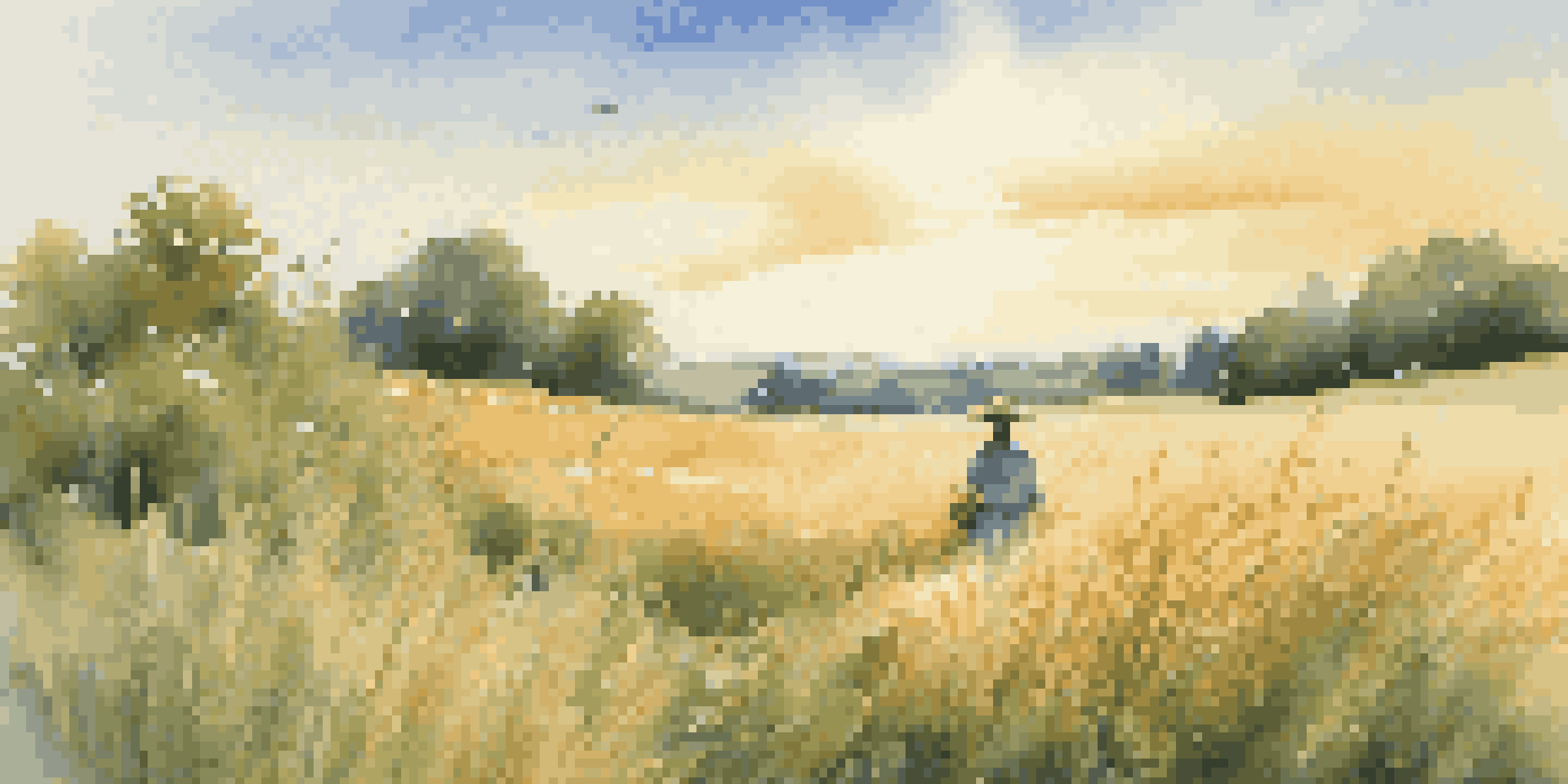 A person foraging for wild grains in a green field with sunlight and a basket of grains.