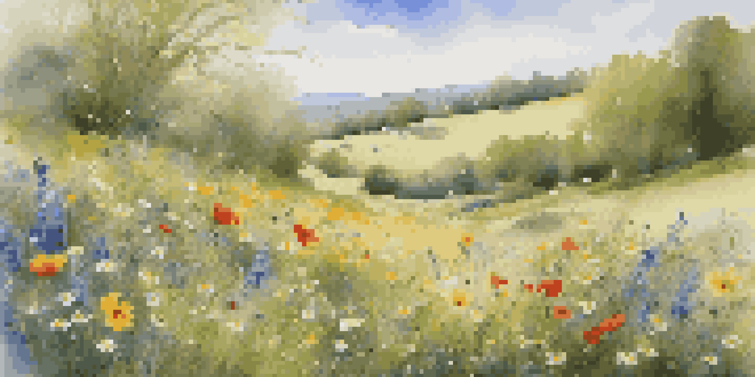 A colorful spring meadow with various wildflowers blooming under a clear blue sky.