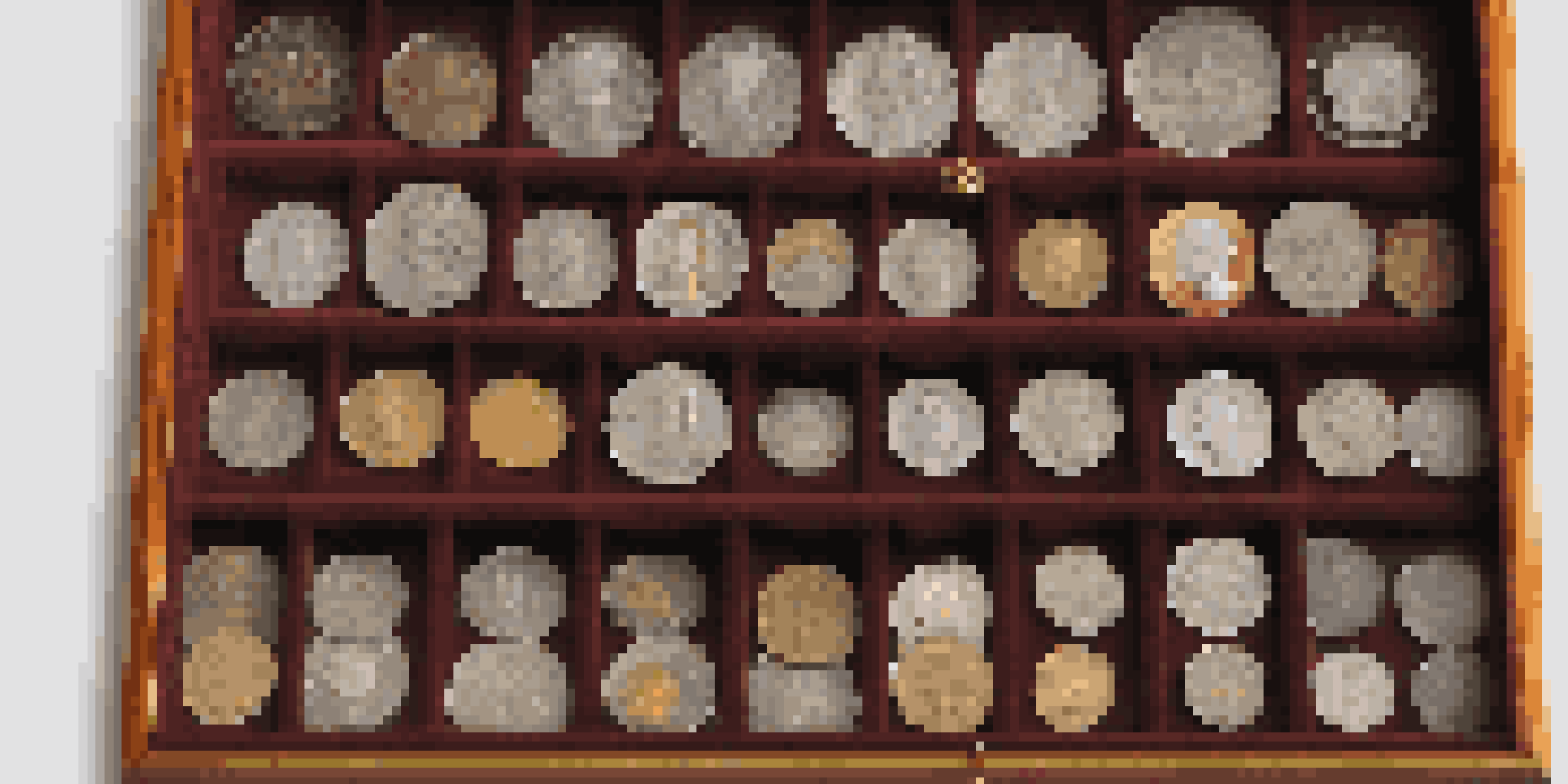 A close-up view of a neatly organized coin collection in a wooden display case, featuring various coins illuminated by soft natural light.