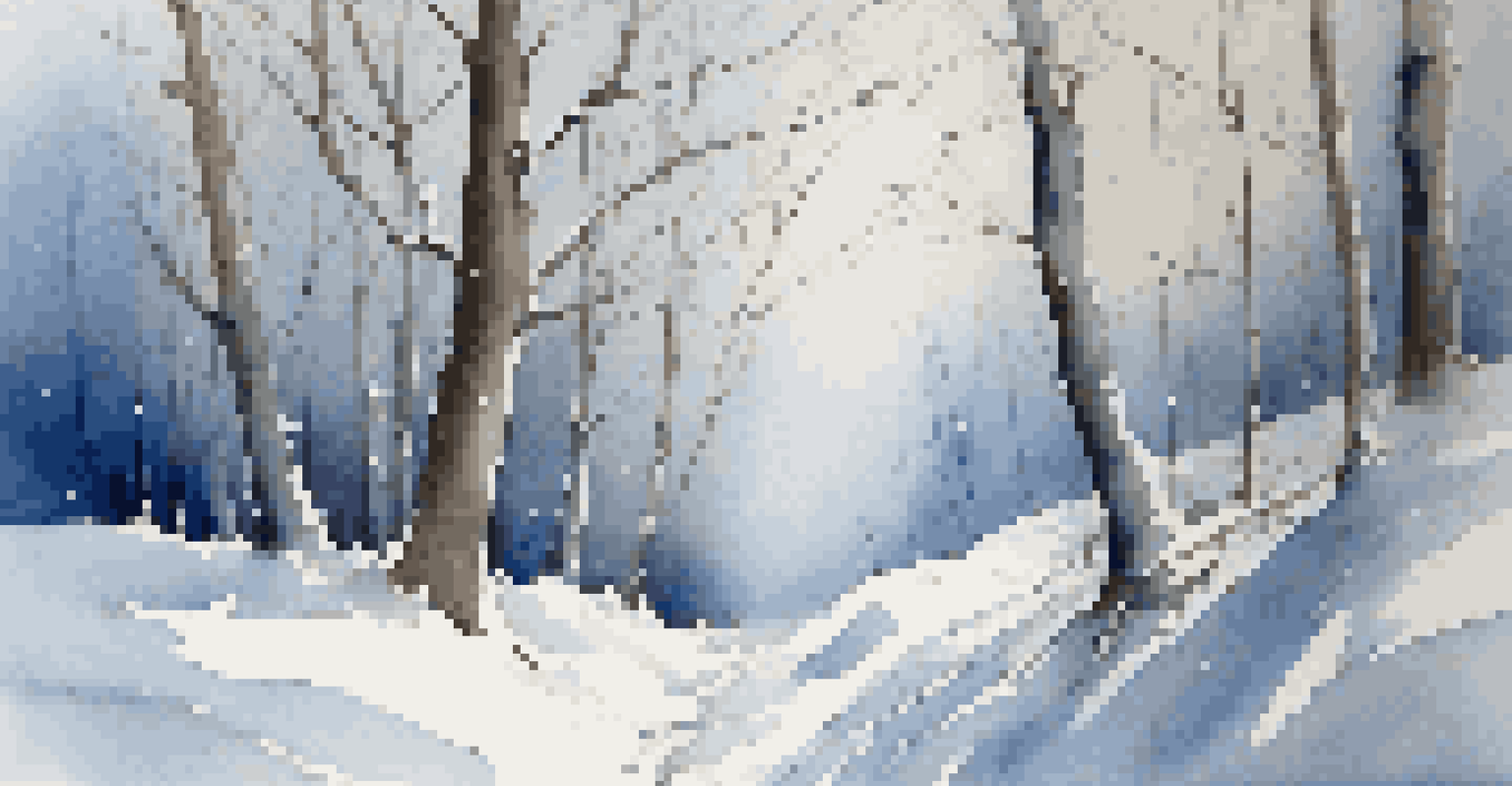 A peaceful winter forest covered in snow with a winding path.