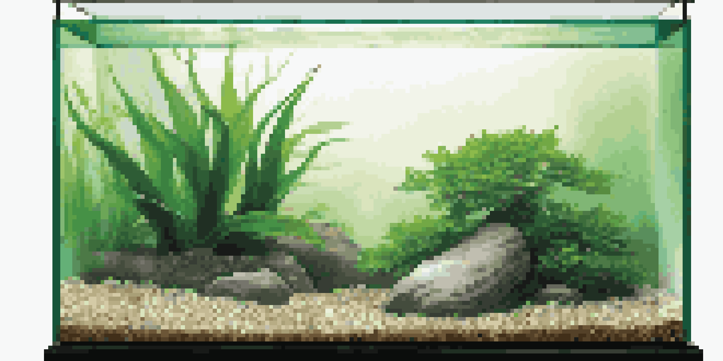 A minimalist aquarium showcasing a tall, elegant plant as the focal point, surrounded by smooth pebbles and fine gravel, with soft green lighting.