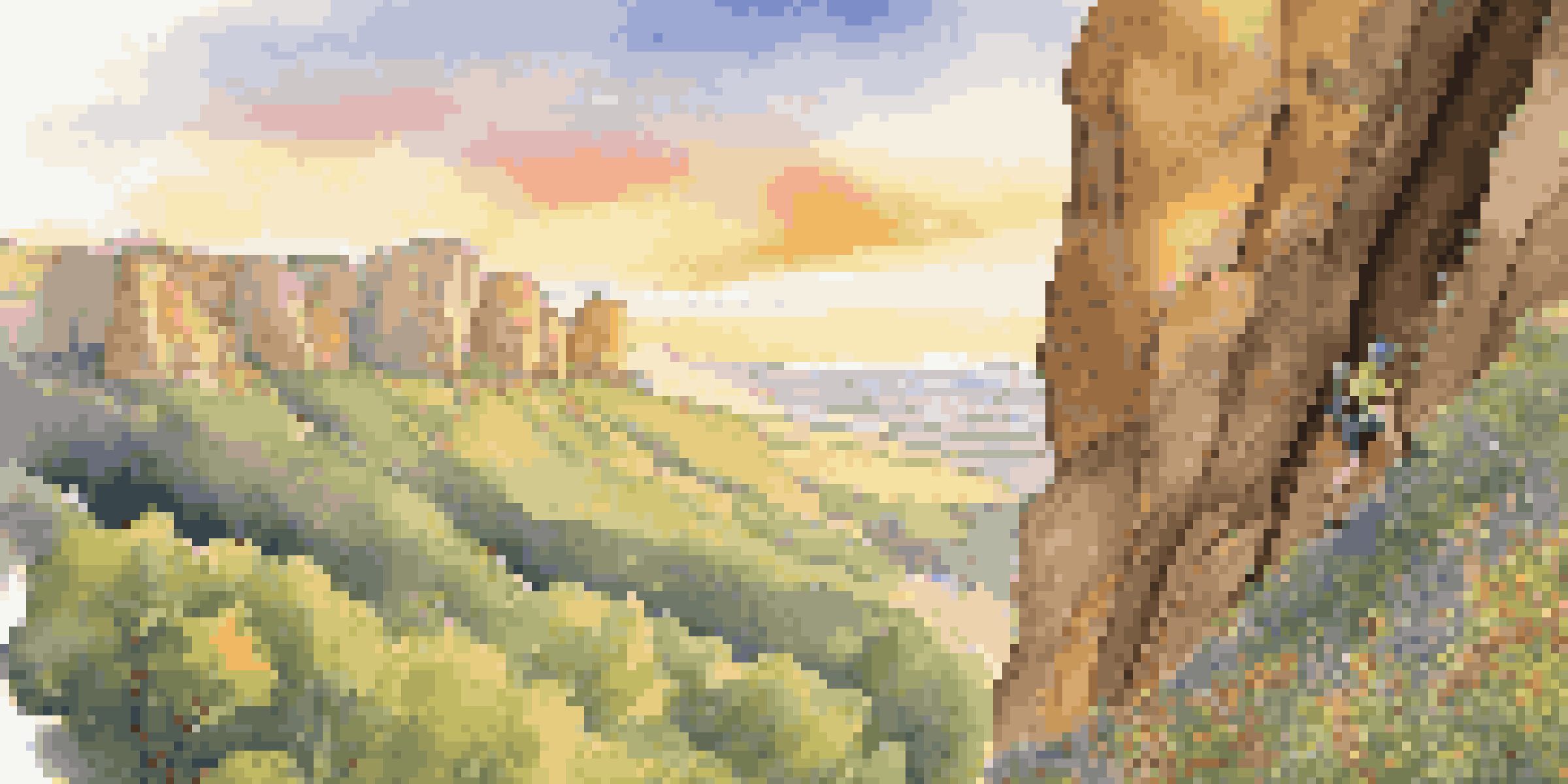 A climber ascends a rocky cliff in a beautiful natural setting, with greenery and wildflowers surrounding them under a golden sunset.