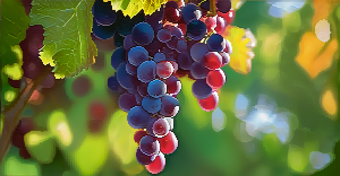 Close-up of Tempranillo grapes on the vine, showcasing their ruby color and green leaves in the background.