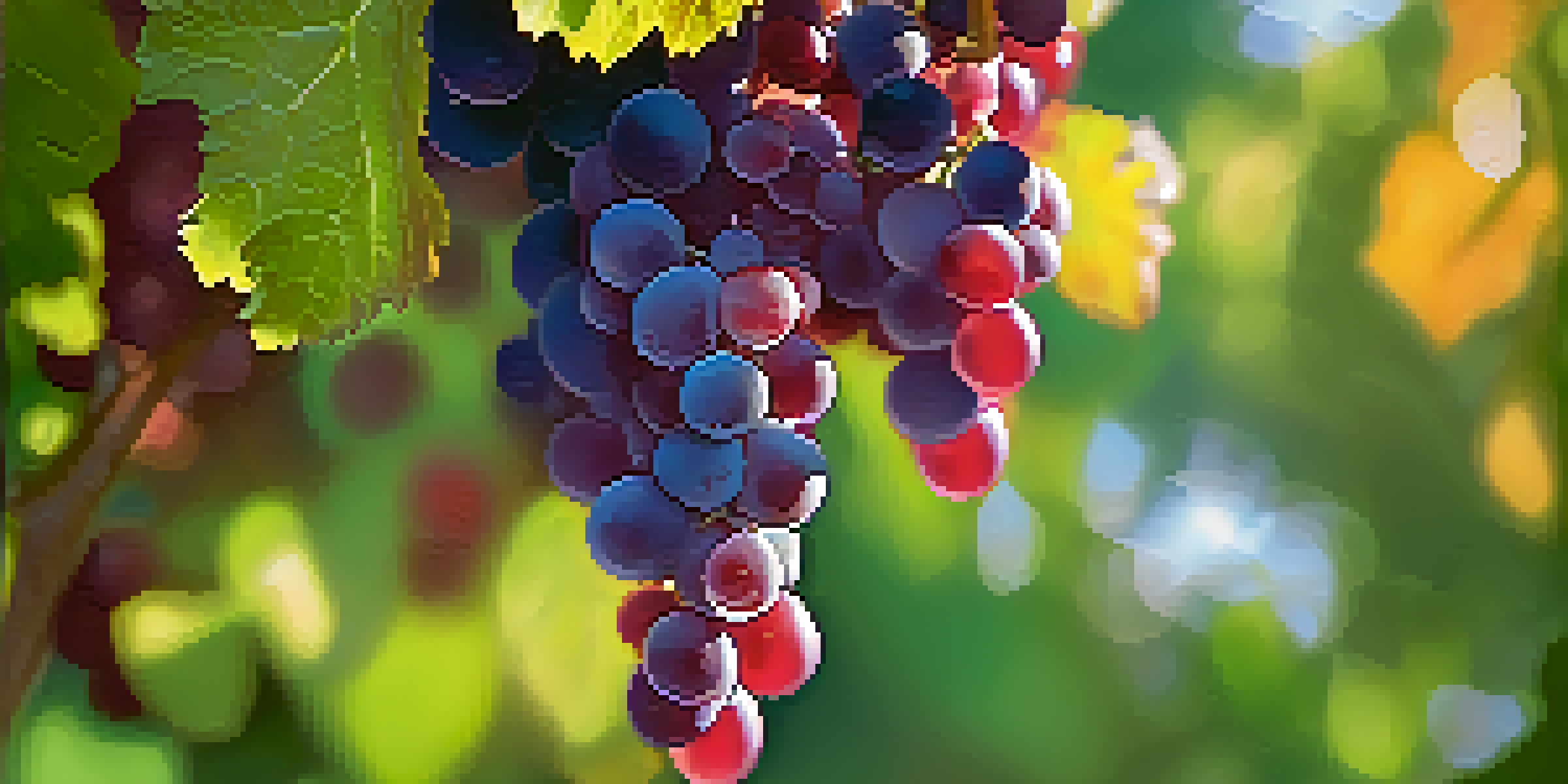 Close-up of Tempranillo grapes on the vine, showcasing their ruby color and green leaves in the background.