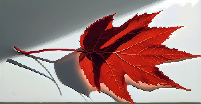 A single red leaf on a white background, highlighting its texture and shape.