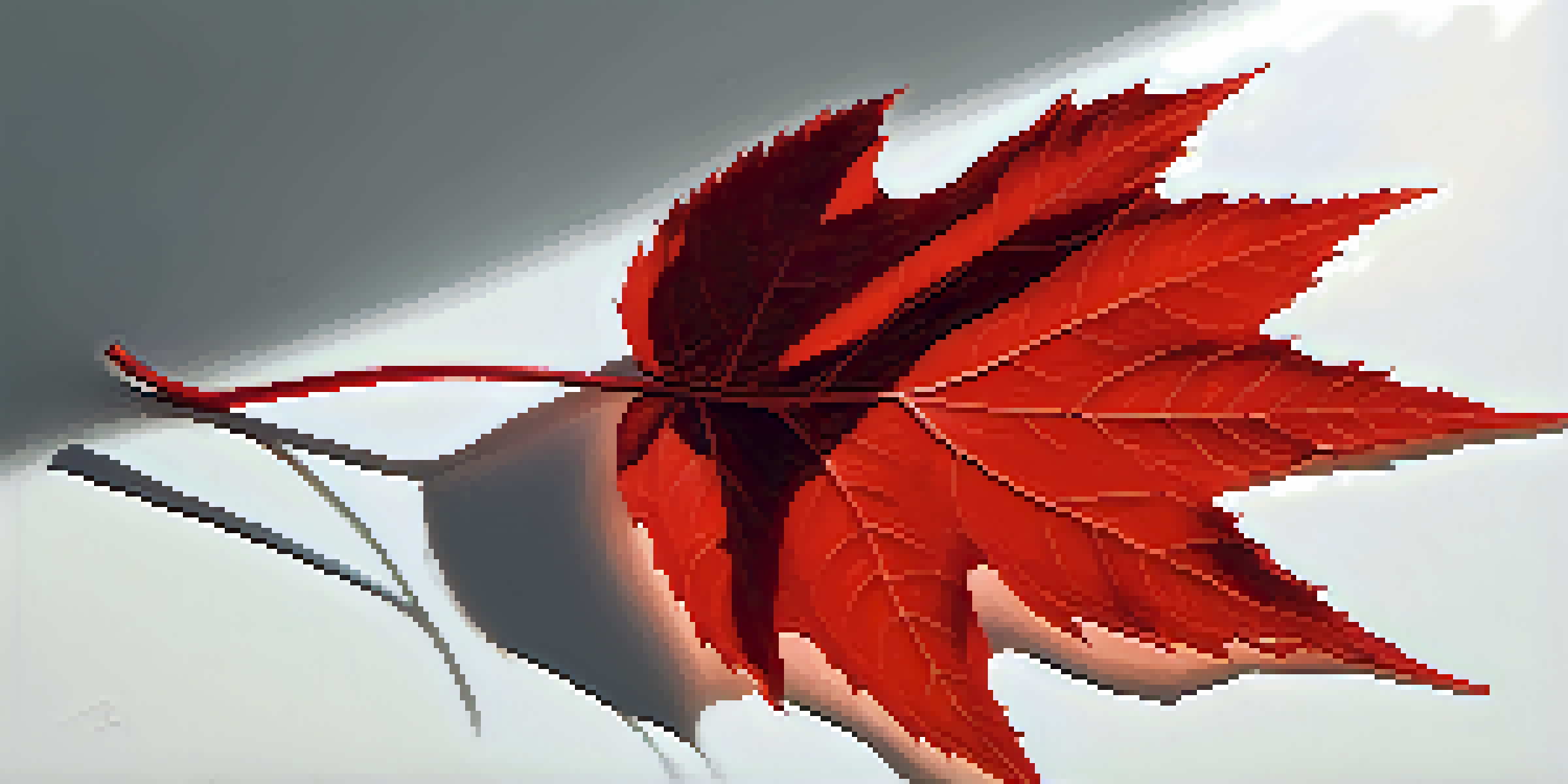 A single red leaf on a white background, highlighting its texture and shape.