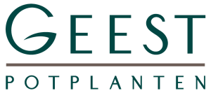 Geest potplanten