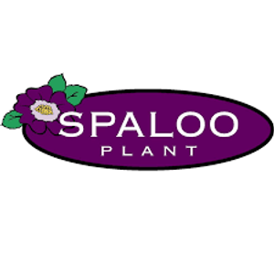 Spaloo