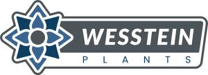 Wesstein plants