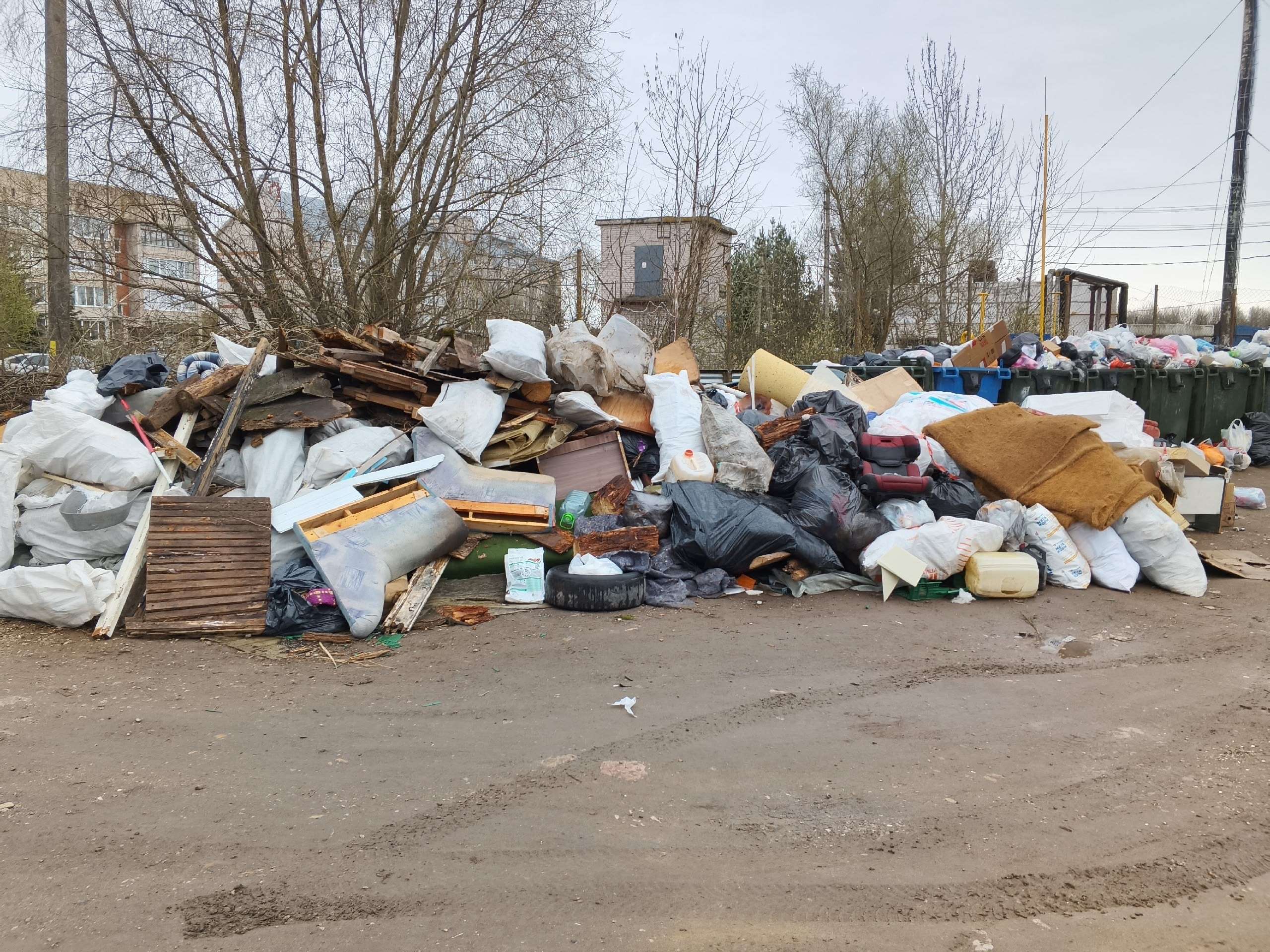 Прокуратура приняла меры из-за нарушений при вывозе мусора в Новгородской области