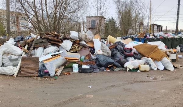 Прокуратура приняла меры из-за нарушений при вывозе мусора в Новгородской области