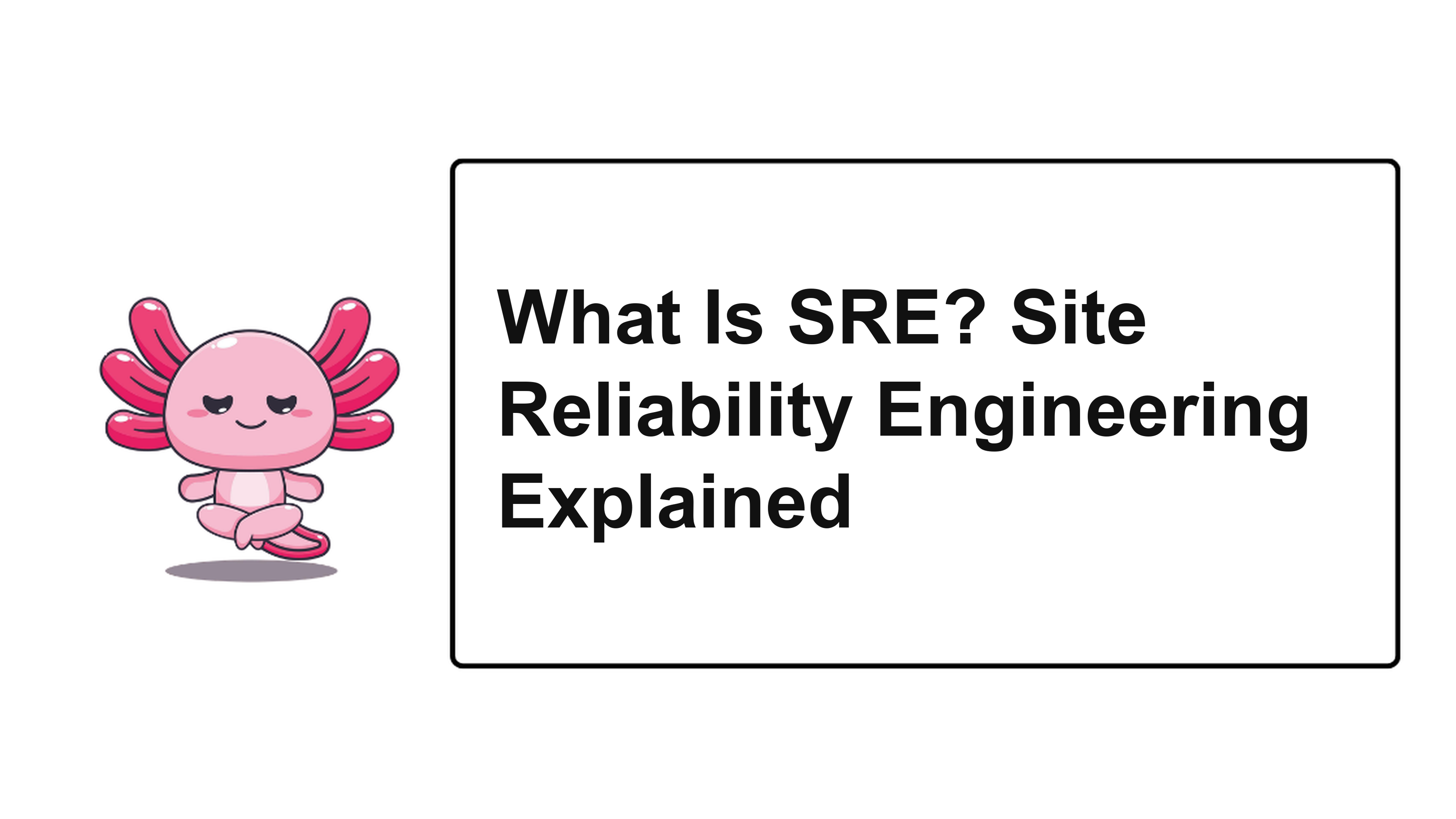 What Is SRE? Site Reliability Engineering Explained