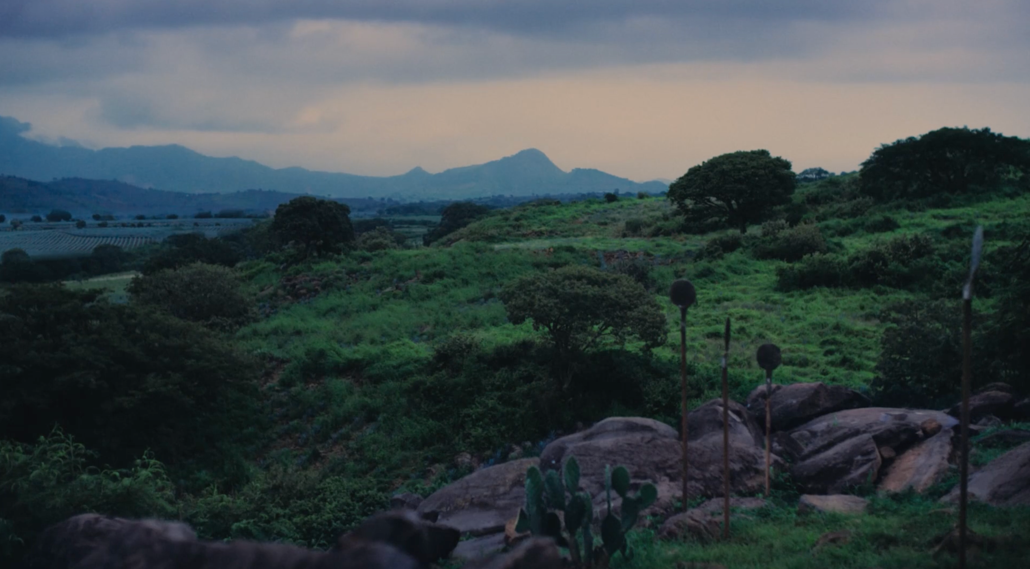 Landscape of Jalisco, Mexico