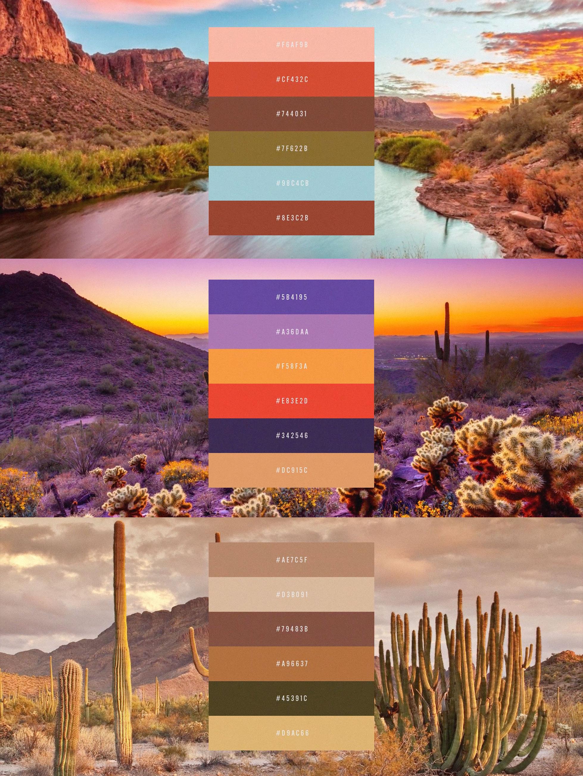 Color Palette