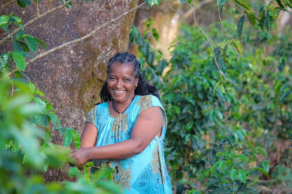 Reforestation in Ethiopia