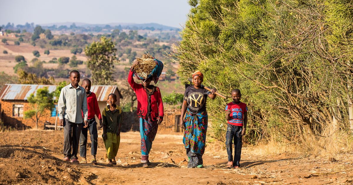 Towards a Living Income in Rural Areas