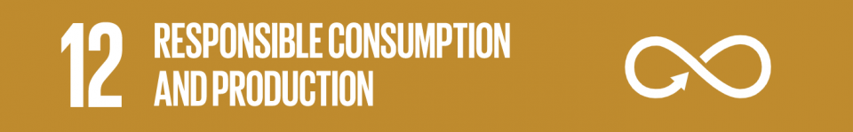 12.Responsible consumption and production