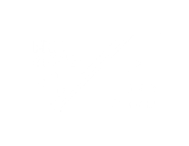 Dual_mode