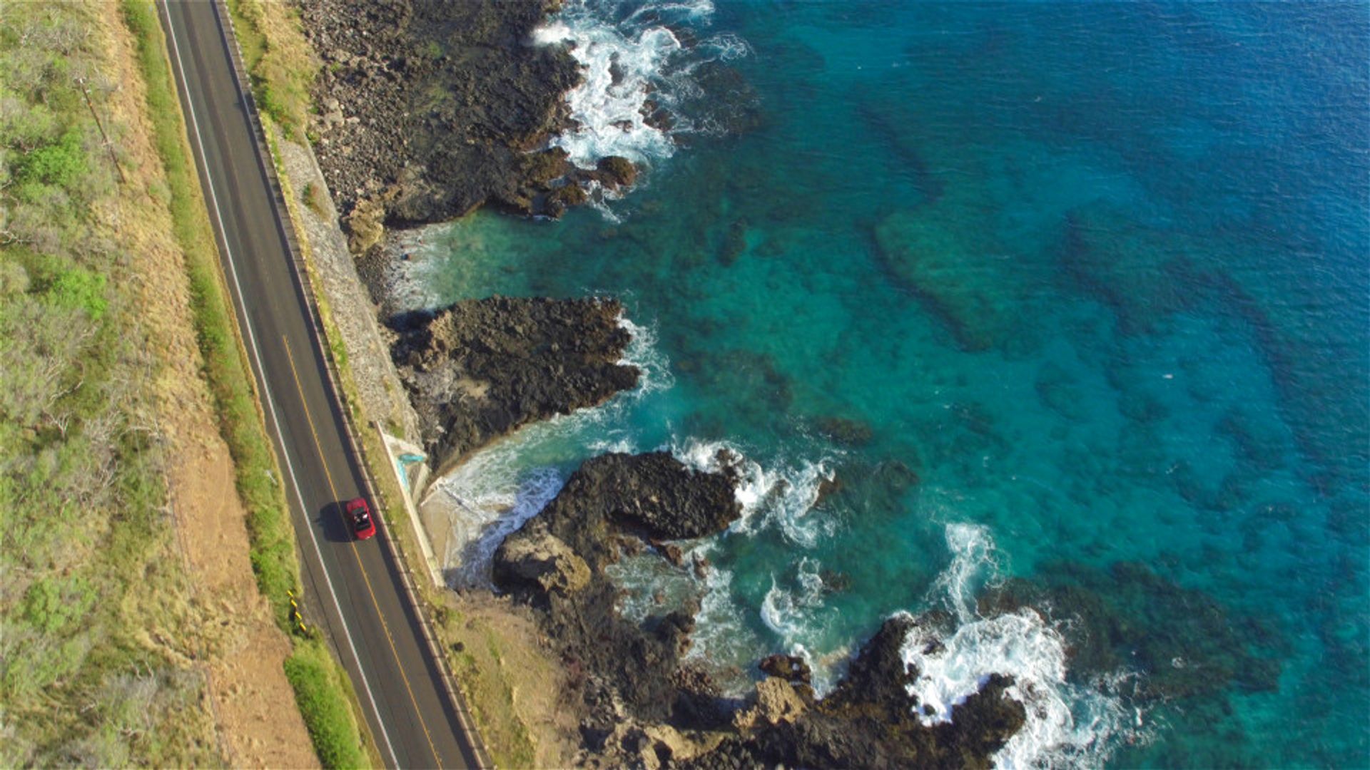 Sustainability and Environment