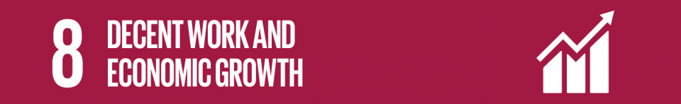 8. Decent work and economic growth