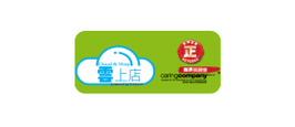 Foresoon Computer 科訊電腦