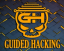 icon of GuidedHacking