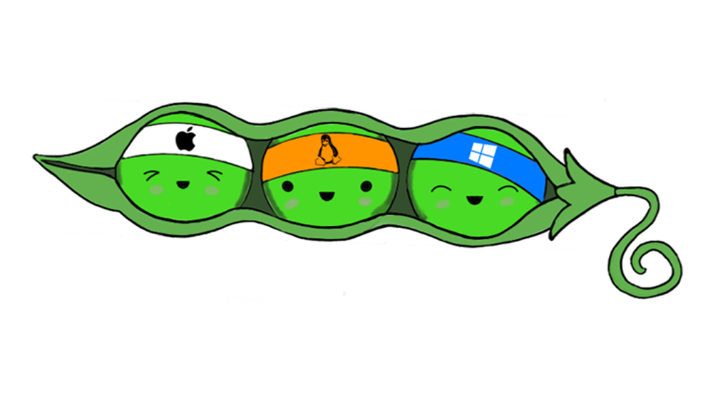 image of LinPEAS image of LinPEAS