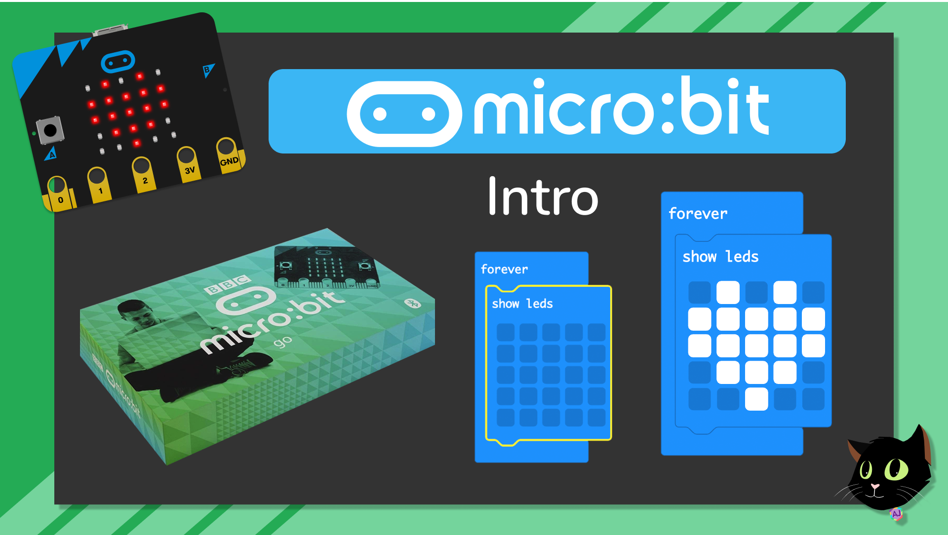 micro:bit for a 10 Year Old