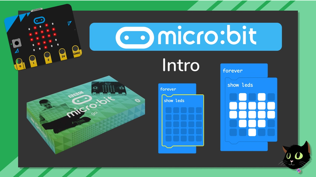 micro:bit for a 10 Year Old
